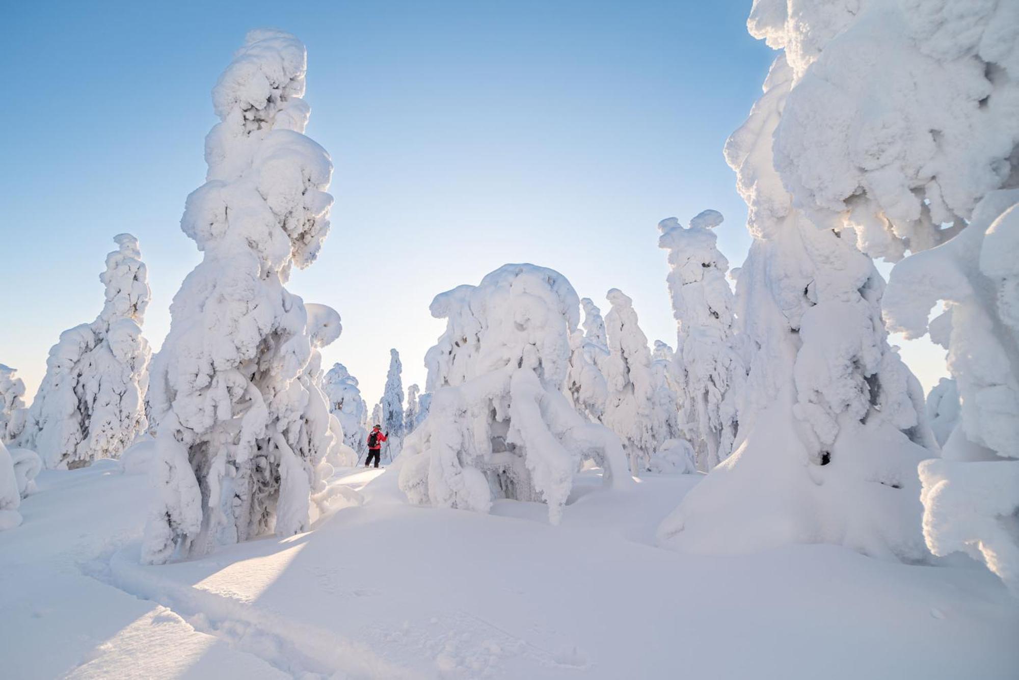 Napapiirin Jaervilomat Hotel Luukonniemi Bagian luar foto