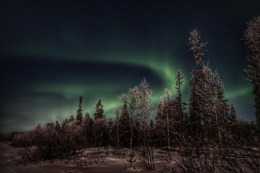 Napapiirin Jaervilomat Hotel Luukonniemi Bagian luar foto